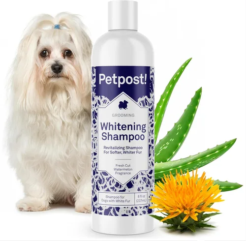 Miniatura 17 de Petpost Champú de argán para perros. Champú para perros con aceite de argán y aloe. Hidrata la piel seca, suaviza el pelaje, restaura el brillo. 8
