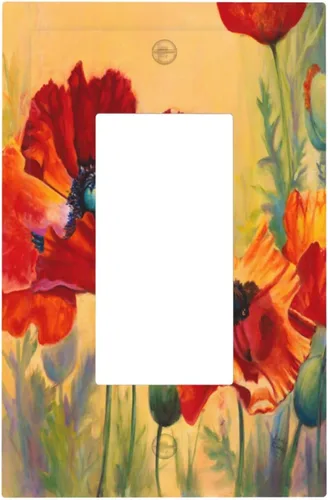 Miniatura 57 de Placa de receptáculo para interruptor basculante de una sola banda, 1 banda Decora GFCI Starry Night Painting Placa decorativa de pared