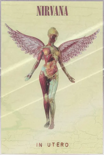 Miniatura 9 de Nirvana - Póster musical (In Utero - Portada del álbum) (Tamaño: 24" x 36")
