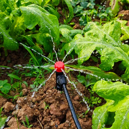 Miniatura 5 de Emisores de riego por goteo para tubos de riego por goteo de 1/4 de pulgada, goteros de flujo de agua ajustables de 360 grados en estaca de flecha
