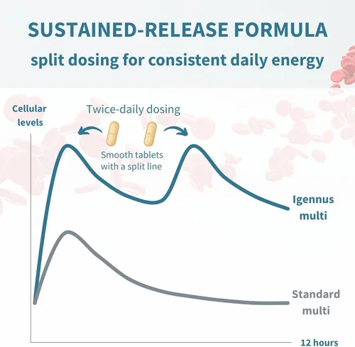 Miniatura 5 de Igennus Multivitamínico metilado para mujeres de 50 años, calcio y magnesio para apoyo óseo, liberación sostenida y vitaminas B activas, fórmula sin