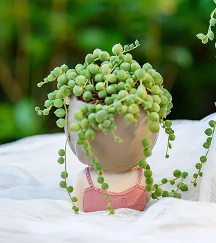 Miniatura 2 de Bonita maceta de resina para suculentas, maceta de flores para niña, cara humana, cactus, contenedor para bonsái, maceta para pulgar, estatua