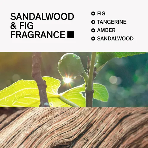 Miniatura 3 de Desodorante sin aluminio para hombres de Bravo Sierra, paquete de 3 - Contiene ingredientes naturales - Protección duradera contra olores y sudor