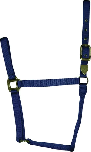 Miniatura 8 de Hamilton Caballo de nailon de 1 pulgada, tamaño pequeño (500-800 libras), azul baya