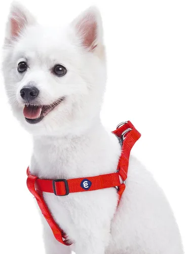 Miniatura 13 de Blueberry Pet Essentials Step-in - Arnés para perro, tamaño mediano, chaleco ajustable rosa fucsia, nailon sólido clásico para perros machos