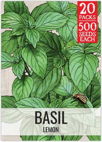 Miniatura 15 de Seed Needs Semillas de albahaca para plantar hierbas de albahaca tailandesa, sin OMG y semillas de hierbas sin tratar para cultivar un jardín