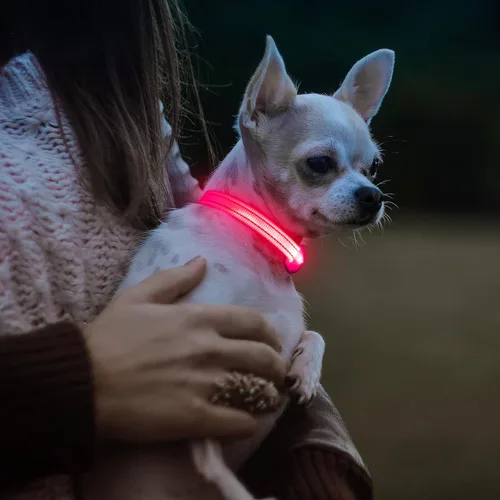 Miniatura 6 de Collares de perro con luz Visinite para perros pequeños, collar de perro LED recargable, collar de perro iluminado totalmente ajustable, collares