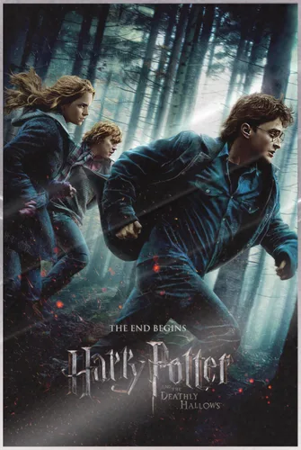 Harry Potter y las Reliquias de la Muerte - Parte 1 - Póster de película (estilo regular) (Tamaño: 24 x 36 pulgadas) (póster laminado)