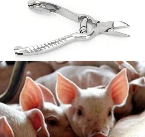 Miniatura 4 de Cortador de dientes de cerdo, 5.5 in/5.5 pulgadas de acero inoxidable de alta calidad para el hogar, granja