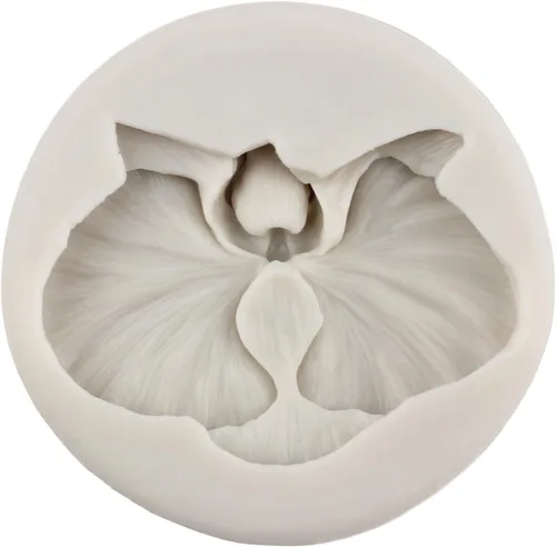 Miniatura 6 de Sijiangmold Molde de silicona de flor de hibisco, orquídea de hibisco, moldes de fondant, molde de caramelo de flores de plumeria, molde