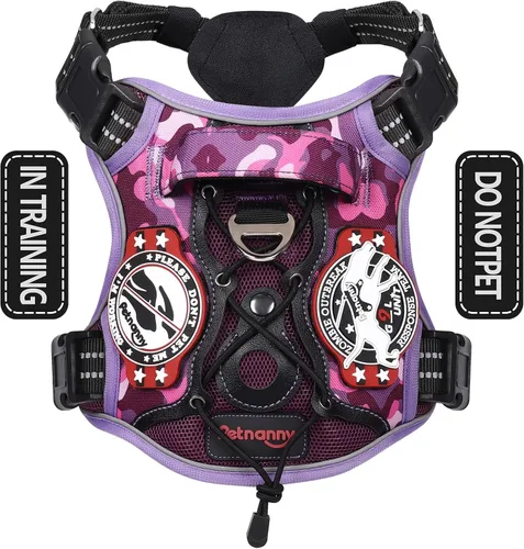 Miniatura 12 de PETNANNY Arnés táctico para perros
