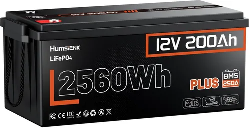 Miniatura 12 de Baterías LiFePO4 de 12 V y 100 Ah, sistema BMS de 100 A, tamaño Grupo 24, 1280 Wh, 15,000 ciclos y 10 años de vida; uso marítimo y solar, RV, fuera