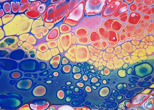 Miniatura 5 de Aceite de silicona acrílica de dimeticona para vertido, 4 onzas, 1000 cSt, para artistas, aceites líquidos no tóxicos, 100% puros para crear células