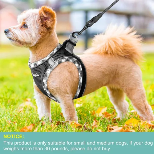Miniatura 4 de haapaw - Arnés para perro con correa, arnés reflectante, ajustable y sin tirones para cachorros con chaleco acolchado para perros Negro