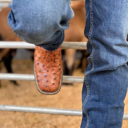 Miniatura 6 de Joe Boots Western Boots Para Hombre Avestruz Print Cuero 701