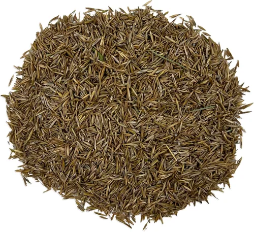 Miniatura 5 de Ferry-Morse EcoEase Microclover y Festuca Mezcla de Semillas de Césped de Cobertura de Suelo de Bajo Mantenimiento, 1 libra