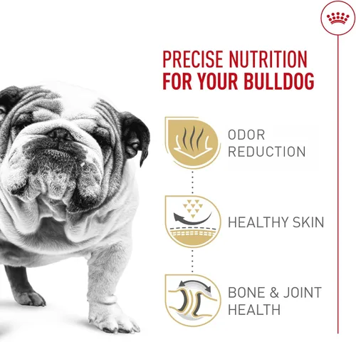 Miniatura 4 de Royal Canin Breed Health Nutrition Bulldog - Alimento seco para perros adultos, bolsa de 17 libras