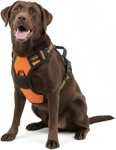 Miniatura 6 de Arnés para perro sin tirones, chaleco táctico verde XL, arnés extra grande de nailon 900D resistente con asas de fácil control, chaleco acolchado