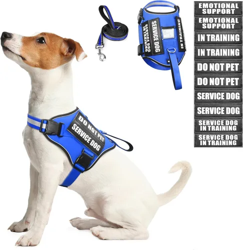 Miniatura 20 de Juego de arnés y correa para perro de servicio, chaleco de entrenamiento para perros con 10 parches para perros, arnés y chaleco para perros de Azul