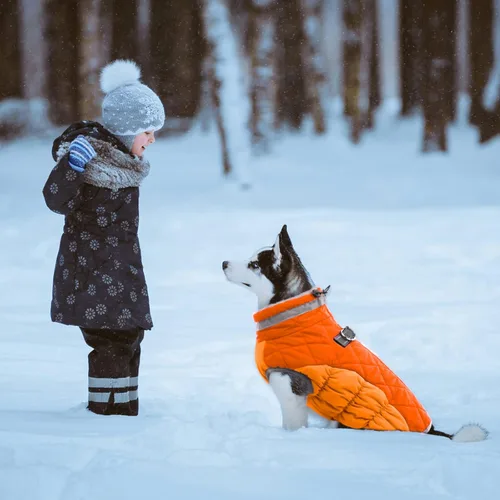 Miniatura 5 de Lelepet Abrigo cálido para perro, abrigo de invierno para perro, chaqueta impermeable para perros con arnés integrado reflectante para mascotas