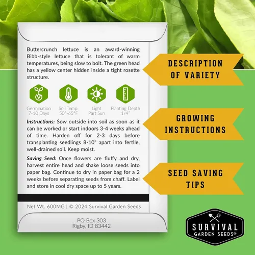 Miniatura 2 de Buttercrunch Semillas de lechuga para plantar, semillas de lechuga de mantequilla Bibb crujiente para jardines, tolerantes al calor, variedad