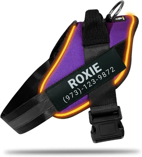 Miniatura 9 de DOGGYKINGDOM Arnés LED personalizado sin tirones para perro con parches de nombre personalizados, recargable por USB, ajustable, reflectante