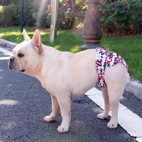 Miniatura 5 de CuteBone Pañales lavables para perras, sin agujero en la cola, paquete de 3 pantalones de entrenamiento para cachorros WWD03M