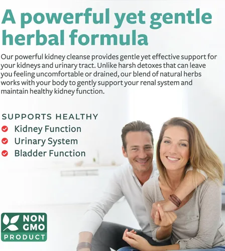 Miniatura 2 de Chanca Piedra Kidney Cleanse Detox & Repair - Suplemento de apoyo a base de hierbas para hígado y riñón con astrágalo de arándano y más para apoyo