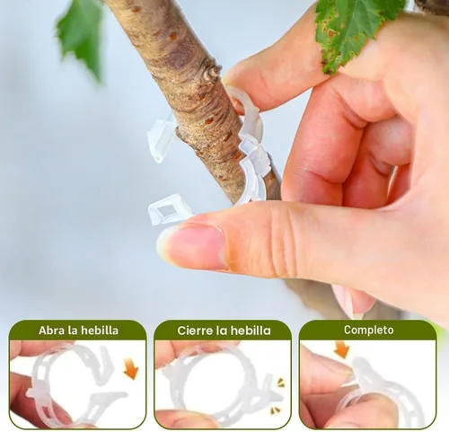Miniatura 4 de 50 clips de plástico seguros para plantas, clips de soporte para plantas, clips de jardín para plantas trepadoras, clips de enrejado de plástico