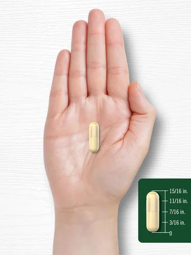 Miniatura 8 de Carlyle Isoflavonas de soja para mujeres y hombres 200 cápsulas Suplemento de extracto sin OMG, sin gluten