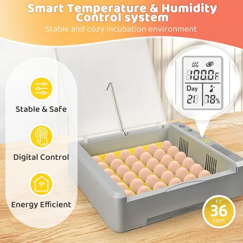 Miniatura 4 de Incubadora de 36 huevos para incubar pollitos con control automático de temperatura y humedad, vista panorámica multifuncional ultra clara con días