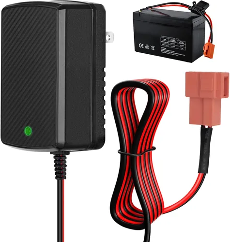 Cargador de batería de 24 V para paseo en juguetes Cargador de batería de 24 voltios para paseo en coche juguete para ATV Mercedes Benz Truck Car