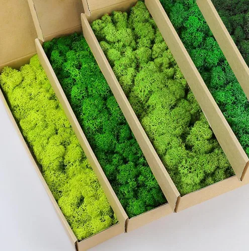 Miniatura 45 de Musgo de Reno Preservado Verde Natural Kit de Bricolaje Arte de Jardinería Decoración de Pared Decoración de Floristería Decoración de Mesa