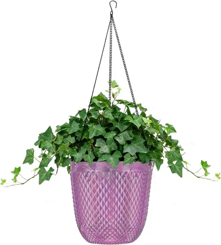Miniatura 12 de Paquete de 2 macetas colgantes de riego automático de 7.2 pulgadas para plantas de interior y exterior, macetas colgantes de macramé de 34 pulgadas