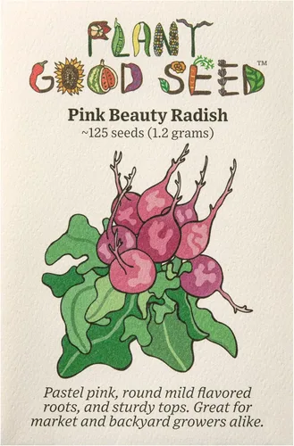 Plant Good Seed Semillas de rábano Organic Pink Beauty – Paquete de 125, semillas tradicionales para plantar verduras – Suministros de jardinería,