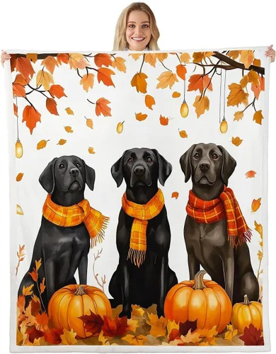 Miniatura 22 de Manfei Hello Fall Throw Blanket Pumpkin Maple Leaf Plaid Patchwork Fleece Blanket Autumn Theme Cozy Throws for Bed Couch Sofa,Kids Boys Girls Room