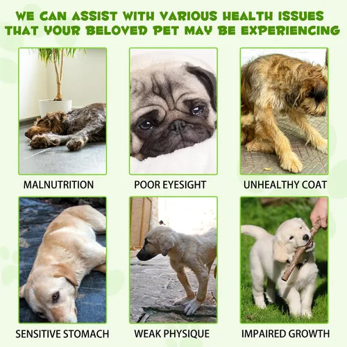 Miniatura 5 de Probiótico para perros, gotas probióticas naturales 3 en 1 para perros que ayudan a aliviar la diarrea, apoya la salud intestinal, picazón