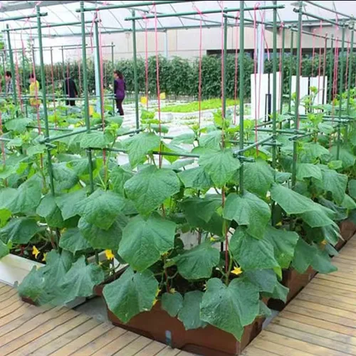 Miniatura 5 de Estacas de jardín resistentes de 4 pies y 48 pulgadas para plantas, soporte de estacas de tomate para verduras, paquete de 20