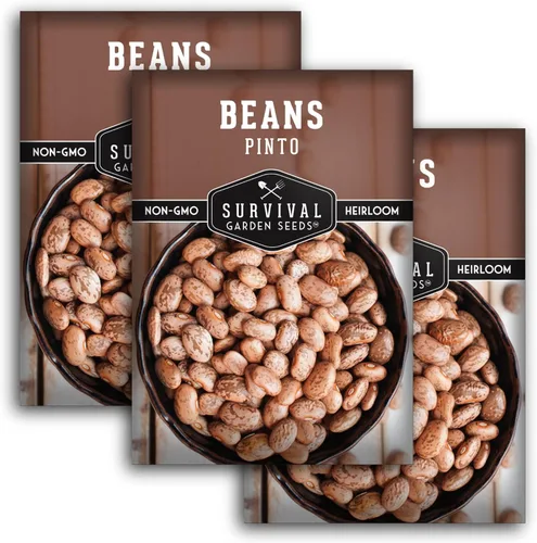 Miniatura 11 de Semillas de frijol Pinto para plantar, frijoles secos de reliquia, variedad de arbustos de alto rendimiento, cultivo alimenticio rico en proteínas