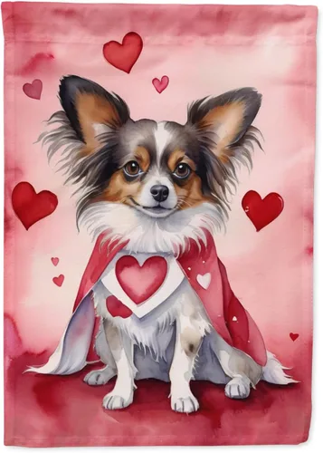 Miniatura 28 de Caroline's Treasures DAC5292CHF - Bandera de Border Collie My Valentine House para porche, grande, con manga para porche, para colgar en la pared