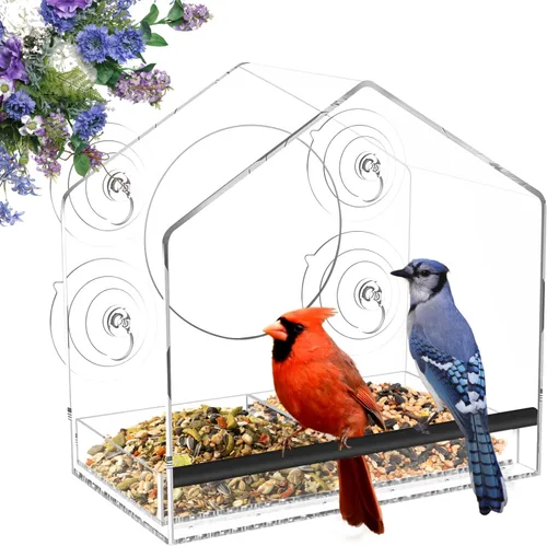 Comedero para pájaros con ventosas fuertes, bandeja extraíble extra profunda de 4.35 pies para gran capacidad, casa de pájaros transparente para