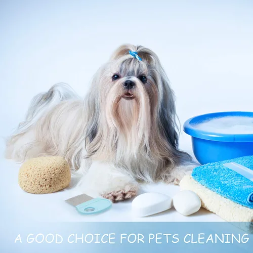 Miniatura 5 de 6 piezas para eliminar piojos en la cabeza, peine de pelo con lupa, herramienta de dientes de metal fino para perros, gatos, mascotas, aseo humano