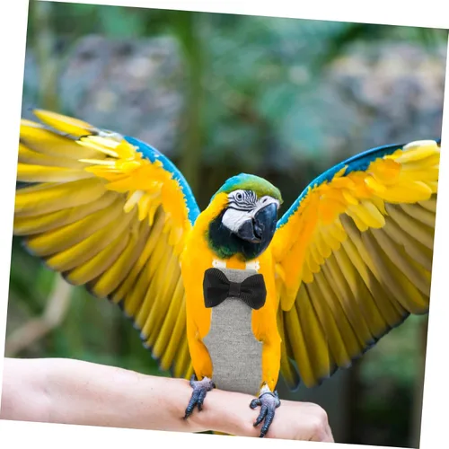 Miniatura 7 de iplusmile 5 unids Loro Pañal de pájaro traje de vuelo Paloma pañal cómodo pájaro ropa para loros