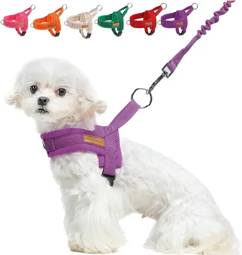 Miniatura 18 de BEAUTYZOO Arnés para Perros Pequeños, Juego de Arnés y Correa sin Tirones, Arnés de Chaleco para Cachorros Suave a Prueba de Escapes con Manija
