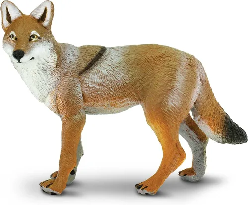 Safari Ltd. Figura de Coyote – Figura de modelo realista de 3.75 pulgadas – Juguete educativo para niños, niñas y niños a partir de 1 año