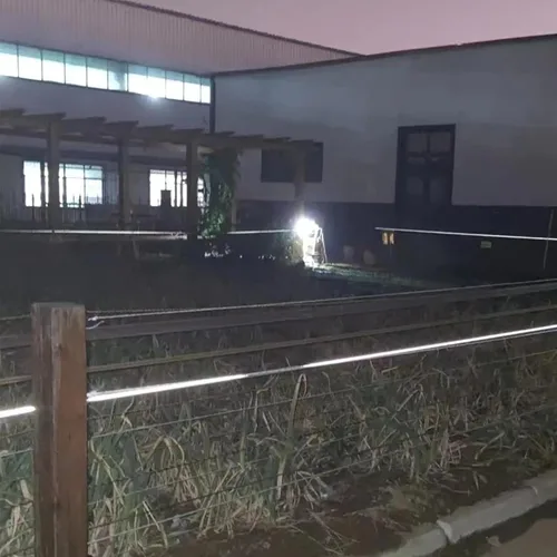Miniatura 7 de Cinta de polietileno eléctrica mejorada para valla con tira reflectante, cinta de esgrima de caballo de 656 pies 656.2 ft, 2 pulgadas 1.969 in