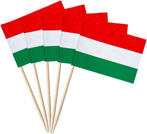 Miniatura 25 de stidsds 100 banderas de Albania con palillos de dientes de Albania, mini adornos pequeños para cupcakes albaneses, banderas de palo para fiesta