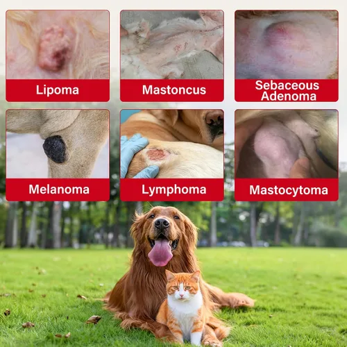 Miniatura 3 de Tratamiento de lipoma para perros y gatos, bálsamo para perros con aceite de ricino, crema DMSO, apoya la comodidad de las articulaciones