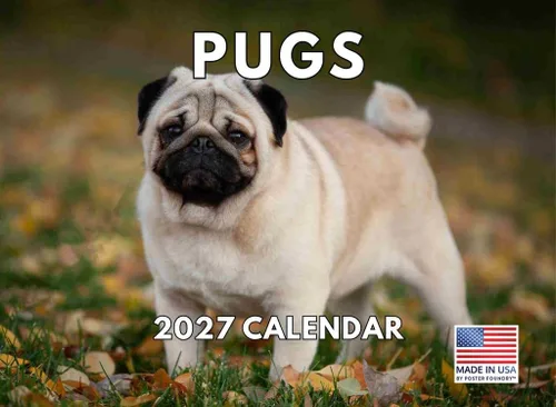 Miniatura 146 de Calendario de pared mensual 2025 Great Dane de 12 meses, fabricado en Estados Unidos