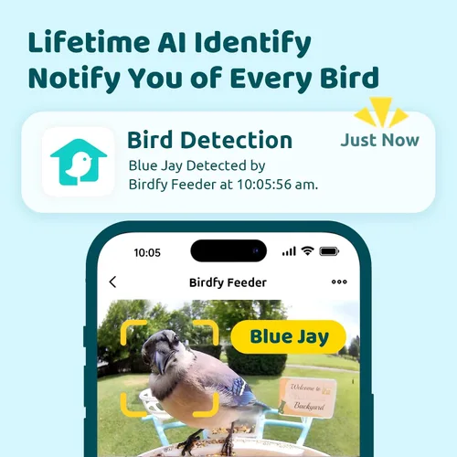 Miniatura 2 de NETVUE by Birdfy - Comedero inteligente para pájaros con cámara, AI identifica especies de aves, visión nocturna de 2 MP y alertas de aplicaciones